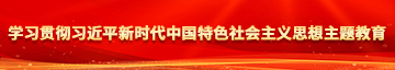 亚洲搞屄视频学习贯彻习近平新时代中国特色社会主义思想主题教育