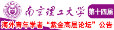 大鸡巴操逼国产视频南京理工大学第十四届海外青年学者紫金论坛诚邀海内外英才！